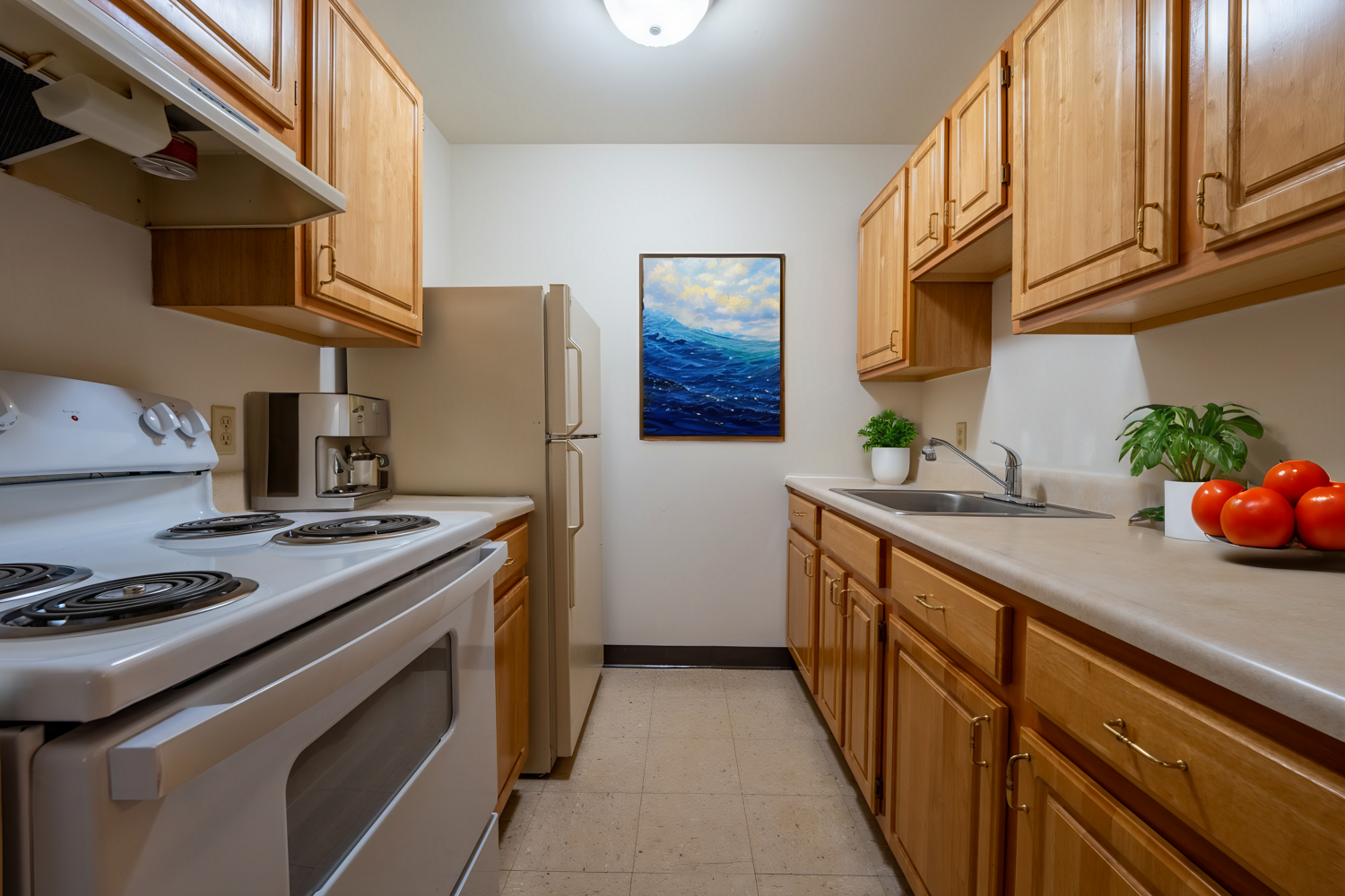 Meadow Park Apartments Kitchen